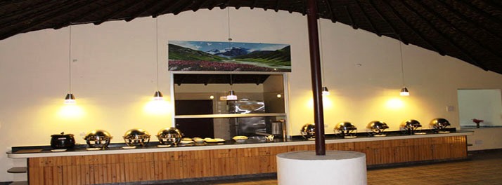 1412/Essence of Nature - Ranikhet 05.jpg